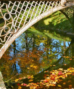 Fallen leaves in water under the bridge