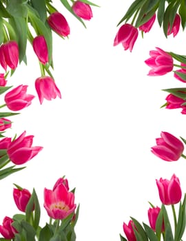 Beautiful flower frame