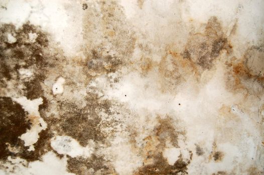 Mold growth and water stains on the ceiling of an abandoned house.