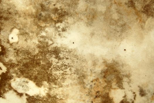 Water stains and mold growth on the ceiling of an abandoned house.