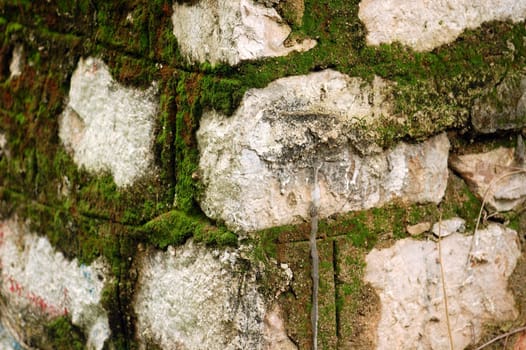 Stone wall texture and moss fungus detail. Abstract background.