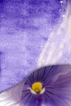 romantic purple background with stars and wake with space and floral photography 