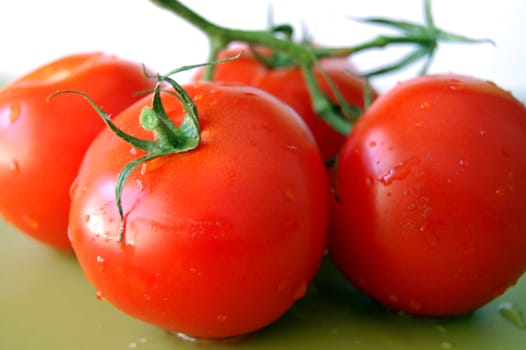 fresh tomatoes with green leaf