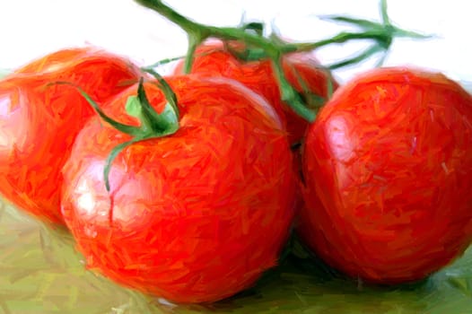 Illustration of fresh red tomatoes with stem.