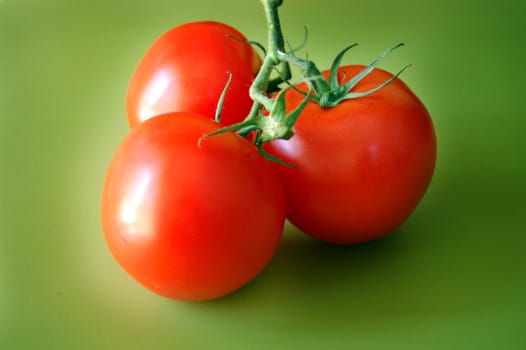Fresh tomatoes with stem on green background