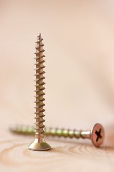 Closeup view of self-tapped screw over wood background
