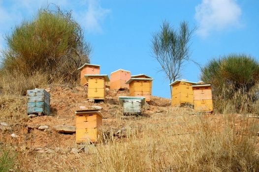 Wooden man made beehive boxes in a forest. Biological honey production.