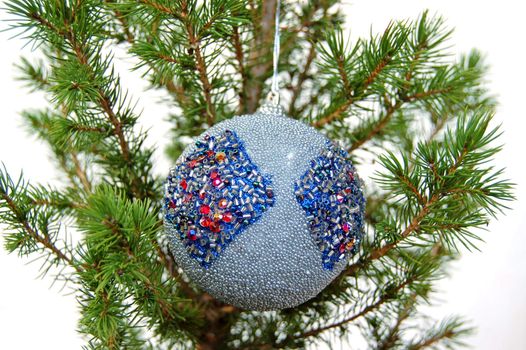 A single christmas ball against a small pine tree.