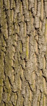 background texture pattern background texture pattern texture patternure