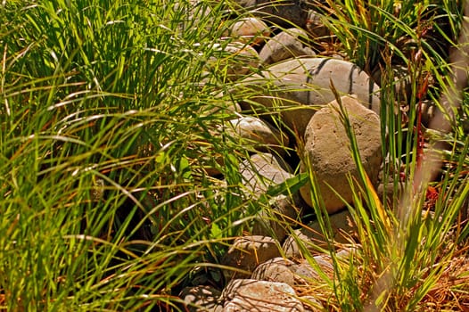 close up landscape shot of boulders in grass