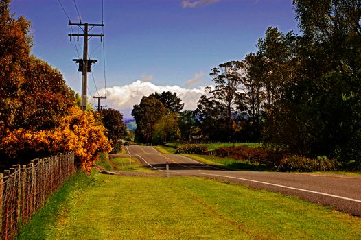 a country road in New Zealand