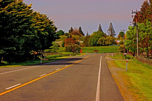 a road through rural New Zealand