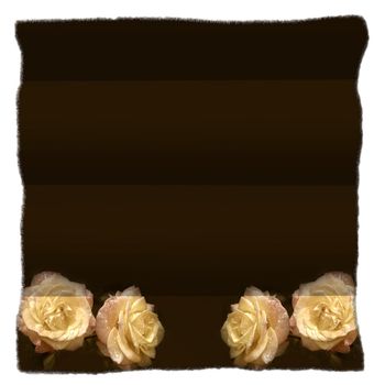 parchment with four yellow roses isolated on white background 