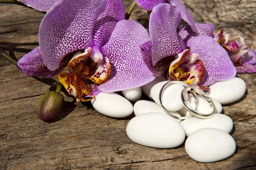 candy ,wedding rings and orchid pink on wooden table