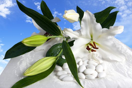 A weeding Favors  for weddings and holidays