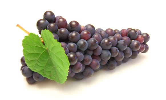 Blue grape with green leaf, isolated on white background