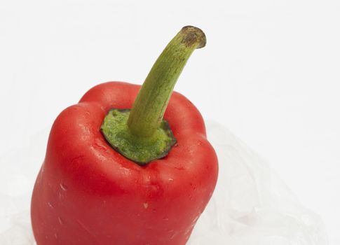 A close up view of a red pepper 