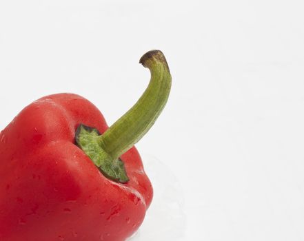 A close up view of a red pepper 