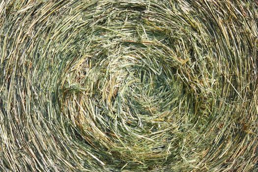 A close-up shot of a large bail of hay