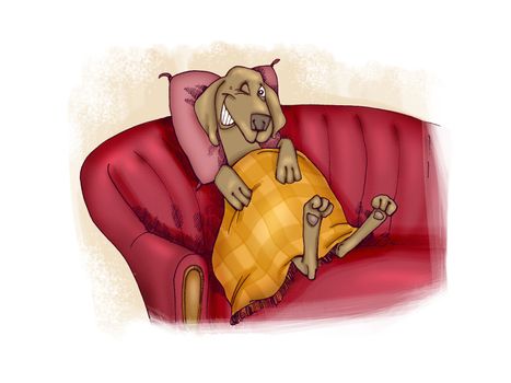 humorous illustration of happy dog on sofa