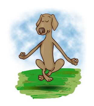 humorous illustration of meditating and levitating dog