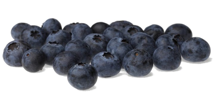 Blueberries against a white background.Selective focus on the closest fruit.
