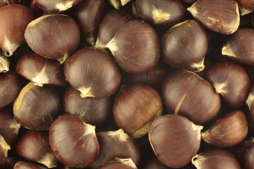 Chestnuts Texture
