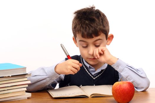 A young schoolboy write his homework