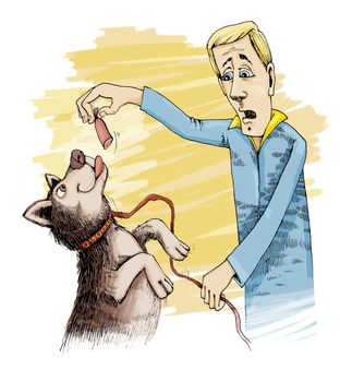humorous illustrationof husky dog and sausage