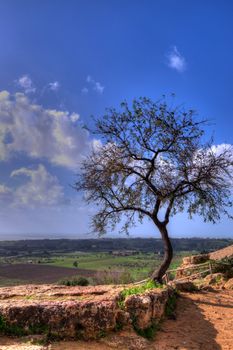 Dynamic Range image hight of the valley of the temples in Sycilia