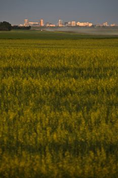 Regina in the distance in scenic Saskatchewan