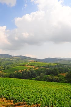 Hill Of Tuscany With Vineyards In The Chianti Region