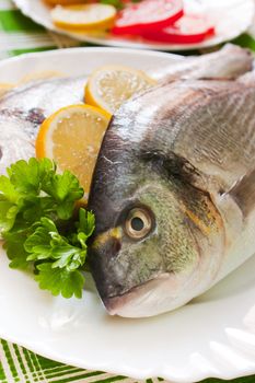 Gilt-head (Sparus aurata)  on plate ready to be cooked