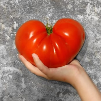 hand holding a big tomato-shaped heart