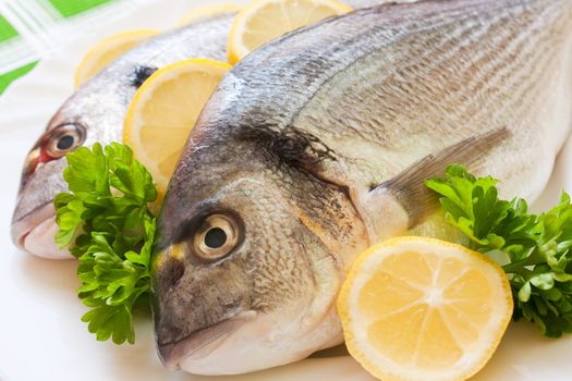 Gilt-head (Sparus aurata)  on plate ready to be cooked