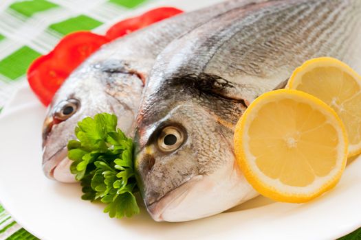 Gilt-head (Sparus aurata)  on plate ready to be cooked