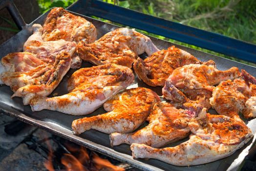 Chicken with honey and spices, cooking on a wood fire