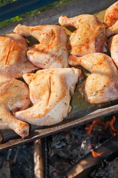 Chicken with honey and spices, cooking on a wood fire