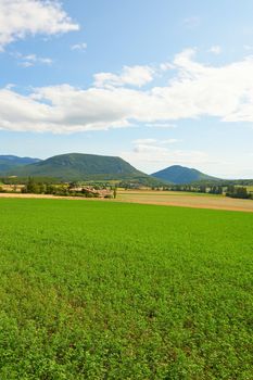 Farmhouse Surrounded by Fields in the French Alps