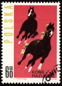 POLAND - CIRCA 1963: stamp printed in Poland shows horses Mazurskie, circa 1963