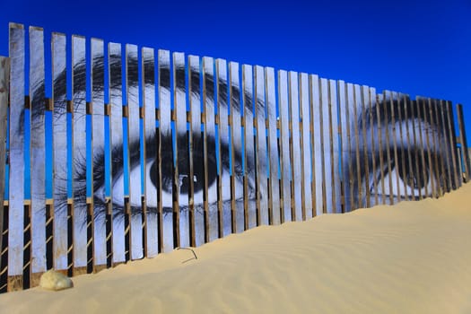 Superposed eyes on the boards of a dune of Cortadura's beach ( Cadiz )