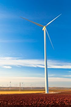 Typical windmill or aerogenerator of aeolian energy