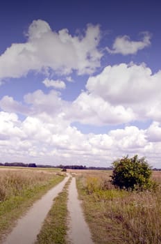 Gravel road between meadows. Cloudy blue sky and the forest in the distance.