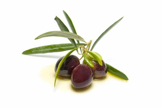 An olive branch with three olives on white background