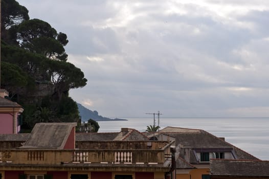 Mediterranean vegetation and typical roofs of liguria