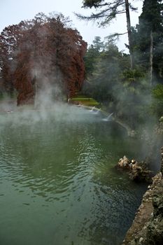 thermal lake in a park during the winter season
