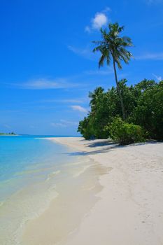 White beach and turquoise water on Meeru Island, Maldives
