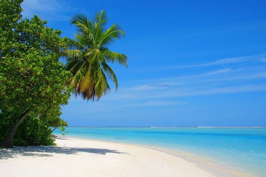 White beach and turquoise water on Meeru Island, Maldives