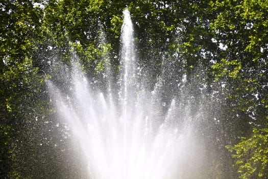 Fountain in a park on a hot summer day