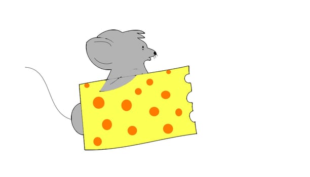 cheese and mouse